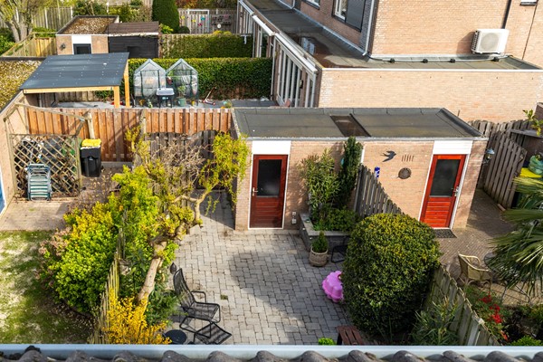 Albert Schweitzererf 6_44-2.jpg